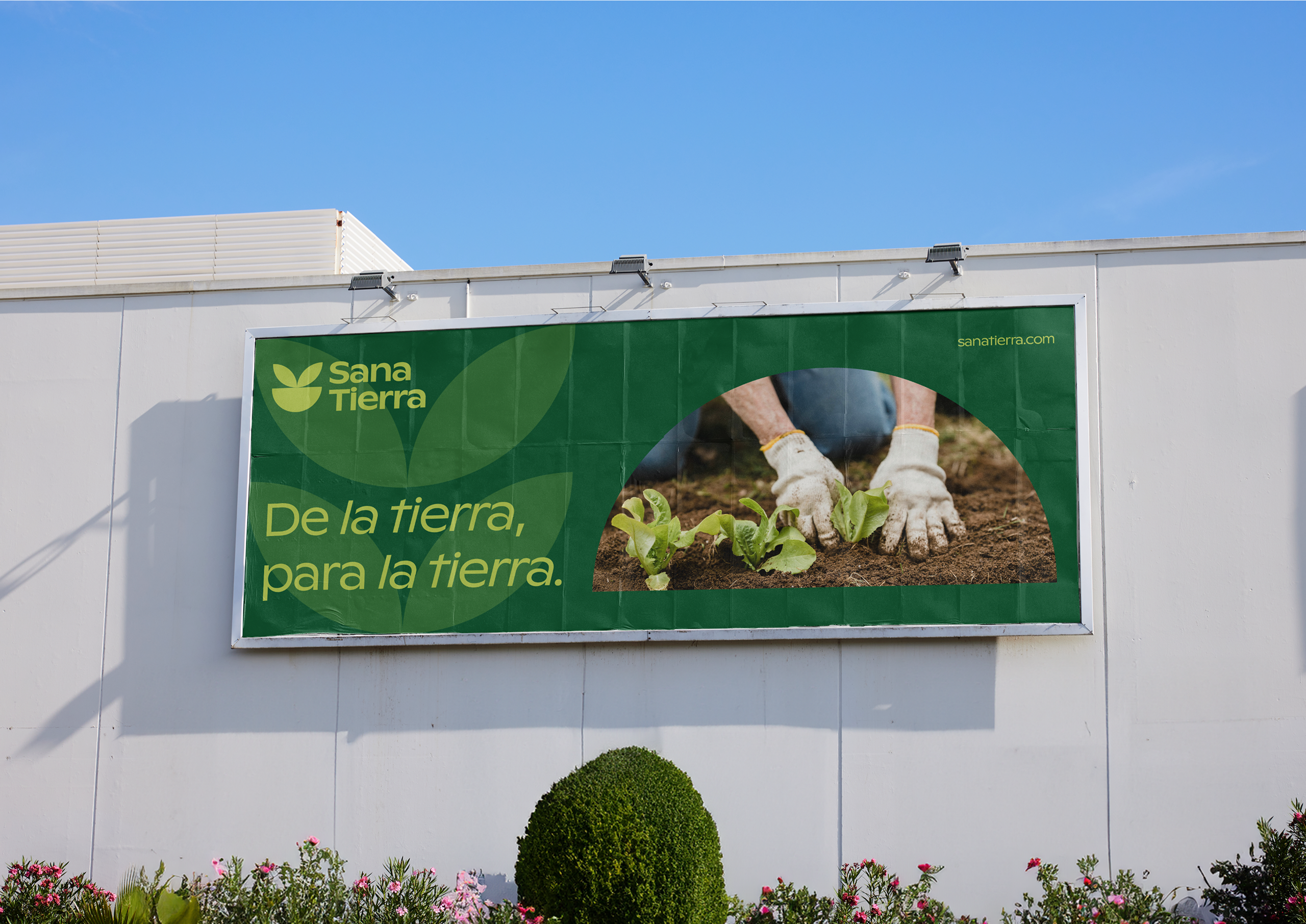 sana tierra brand identity showcase